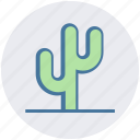 cactus, eco, ecology, nature, plant, pot, science