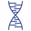 chain, dna, molecule, strand, structure