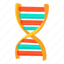 biology, biotechnology, cartoon, chain, dna, molecule, science