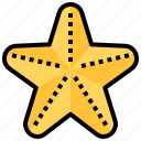 starfish, sea, ocean, animal, fish