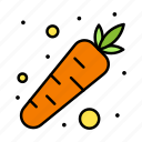 carrot, food, vegetable