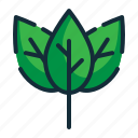 leaf, green, nature, ecology, environment, plant, energy