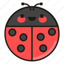 ladybug, insect, bug, animal, nature