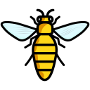 bee, fly, honey, insect