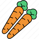 carrot, vegetable