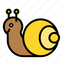 animal, shell, snail, spring