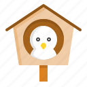 bird, birdhouse, nest, spring