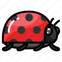 beetle, bug, ladybug, spring, summer