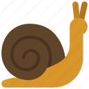 snail, spring, creature, animal, slug