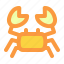 beach, crab, sea, summer, vacation