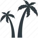 beach, coconut trees, date trees, island, palm, palm trees