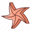 ocean, sea, star, starfish