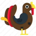 turkey, zoology, thanksgiving, animals, chicken