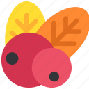 autumn, berry, leaf, leaves, nature, thanksgiving