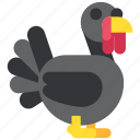 animal, autumn, bird, thanksgiving, turkey