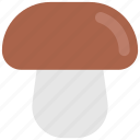 autumn, cooking, food, mooshroom, thanksgiving, vegetable