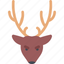 deer, christmas, vector, xmas, winter, year, gift