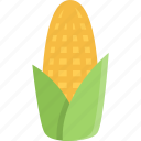 corn, vegetable, eat, fresh, cooking, food