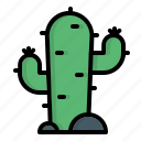 cactus, forest, garden, green, nature, plant, tree