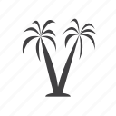 palm, tree, vacation