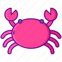 crab, sea, animal