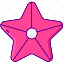 starfish, sea, ocean, star