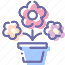 flowers, nature, pot, present