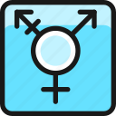 gender, transgender, box