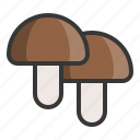 food, healthy, mushroom, shiitake, shiitake mushroom, vegan, vegetable