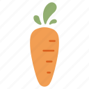 carrot, carrots, food, healthy, organic, vegetable, vitamin