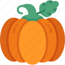 pumpkin, organic, vegan, healthy, diet