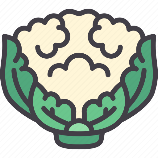 Cauliflower, vegan, vegetarian, healthy, food icon - Download on Iconfinder