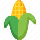 corn, agriculture, food, healthy, organic, vegetable, vegetables