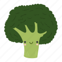 broccoli, food, ingredients, plant, vegetable