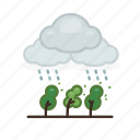 cloud, nature, plant, rain, rainy, weather