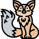 fox, fauna, predator, animal, forest