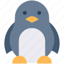 animal, cold, nature, penguin, wildlife, winter