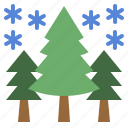 winter, pinetree, christmas, nature, forest, pine, tree