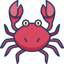 crab, animal, sea, ocean, sea life, crustacean, beach