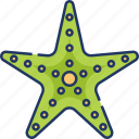 starfish, sea, animal, ocean, fish, beach, sea creature