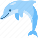 dolphin, fish, sea, animal, mammal, ocean, marine