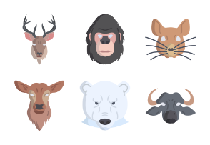 Animal faces