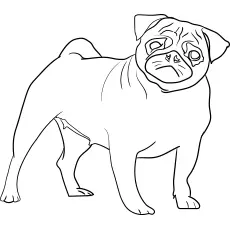 25 Cute & Funny Dog Coloring Pages Your Toddler Will Love To Color