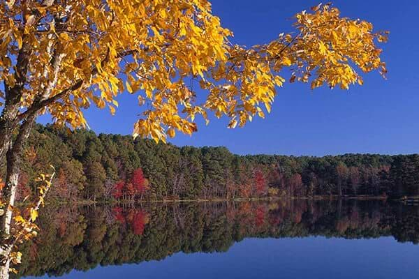 Lake Bob Sandlin State Park