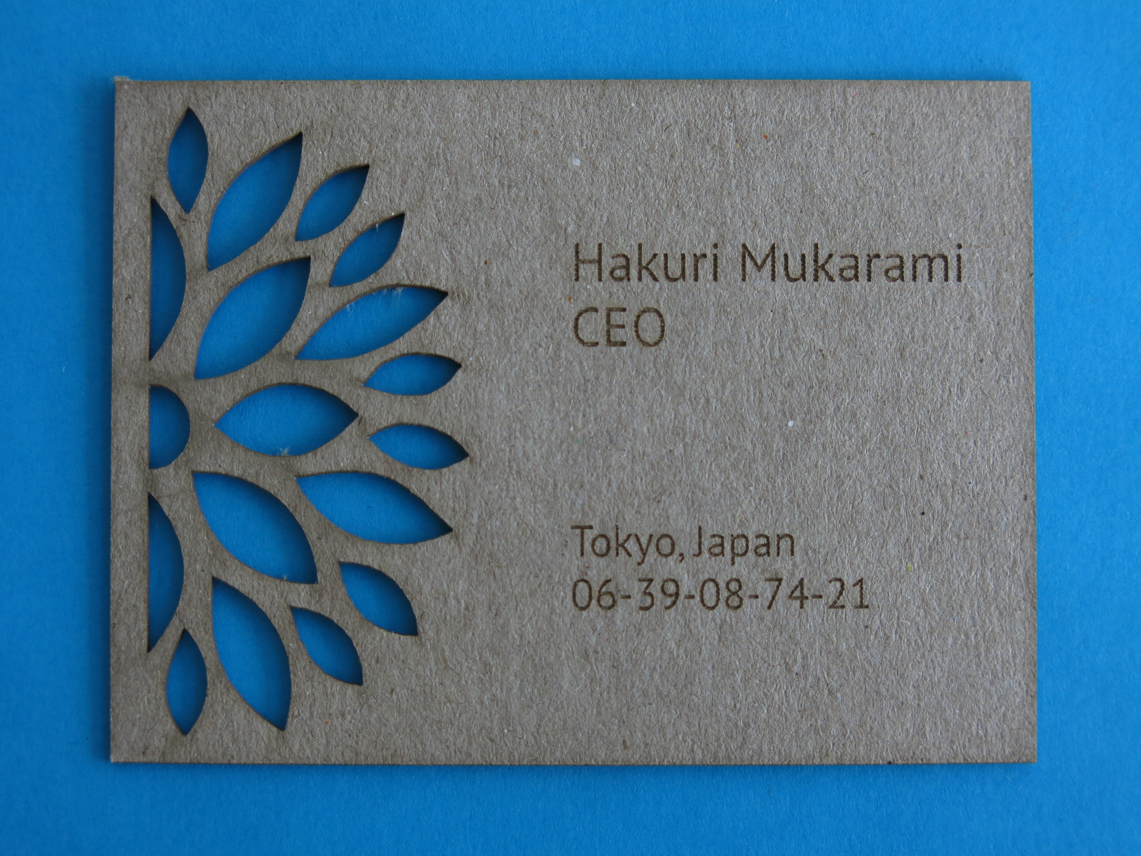 Laser Cut Business Cards : high end laser cut business cards, die cut ...