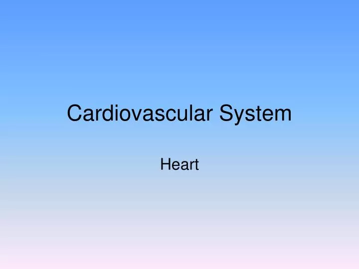 cardiovascular system