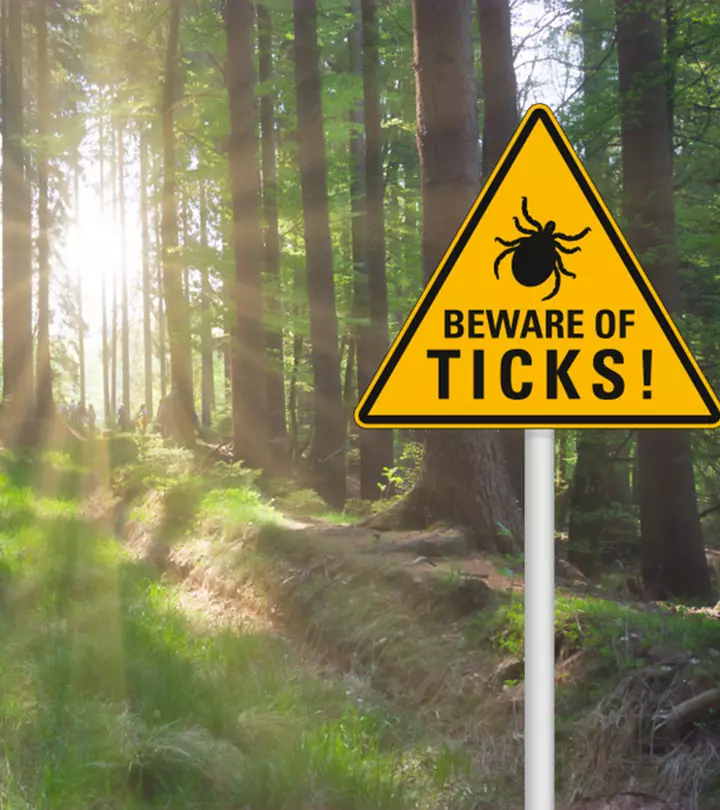 Ticks Bites On Children: Signs, Treatment & First Aid