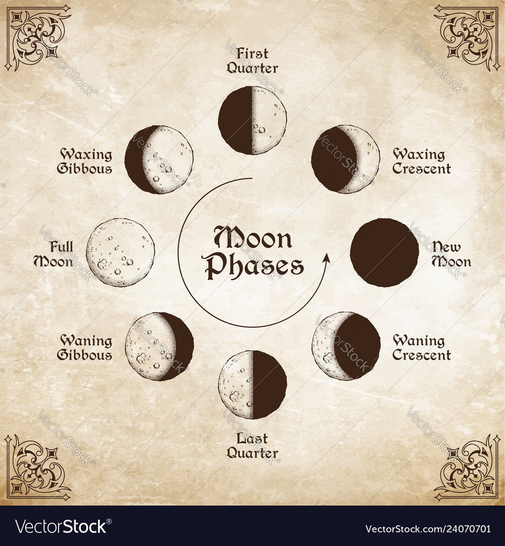 Vintage Moon Phases