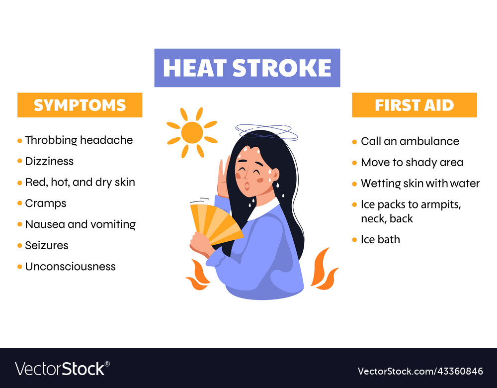 Heat stroke symptoms web banner first aid in case Vector Image