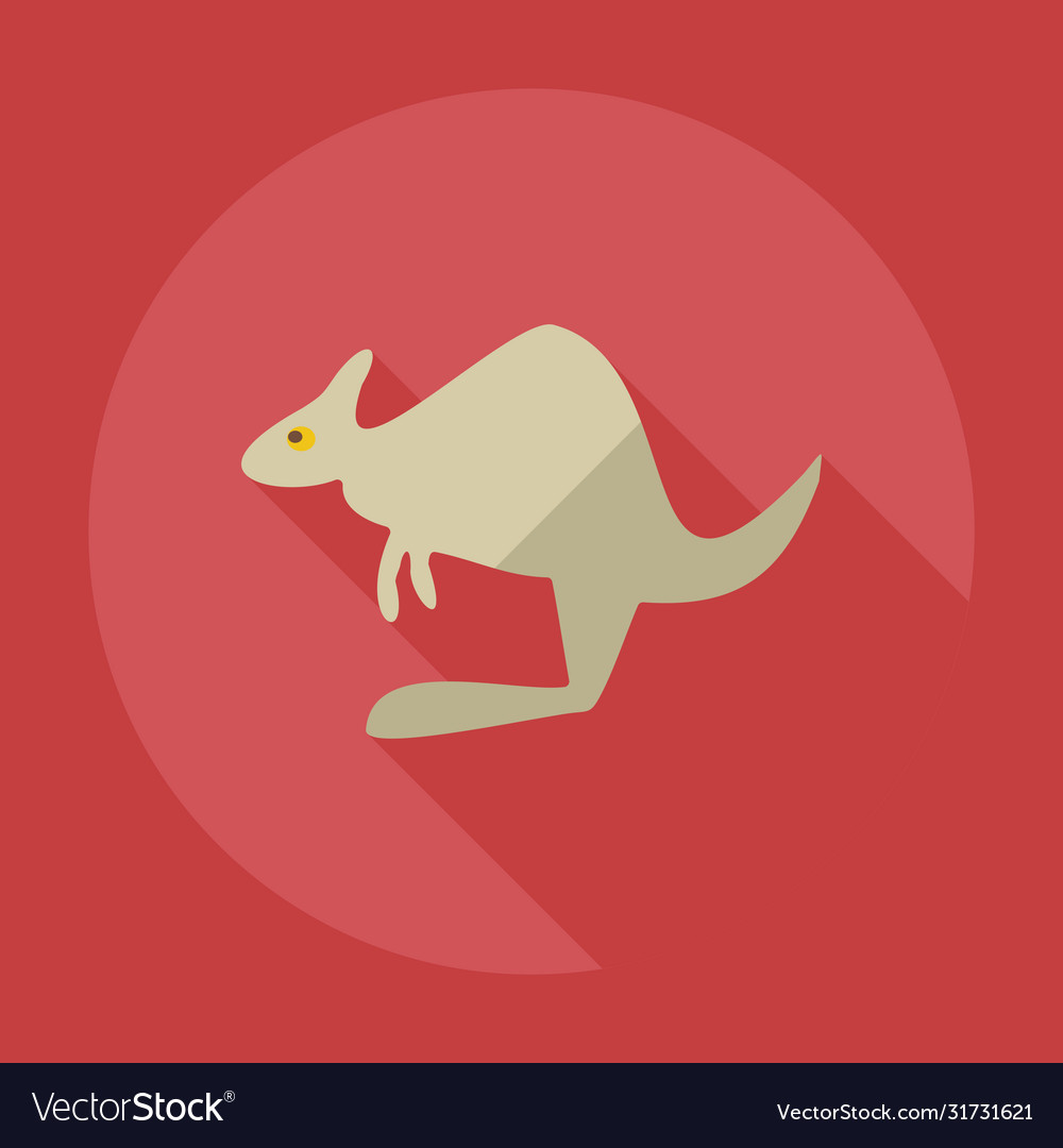 Flat modern design with shadow icons kangaroo